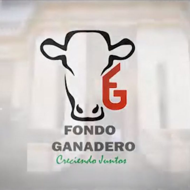 Entrevistas – Fondo Ganadero