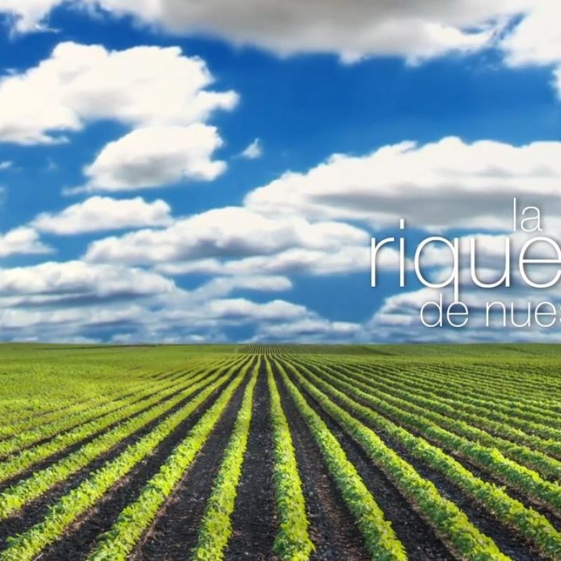 Crédito Agrícola de Habilitación